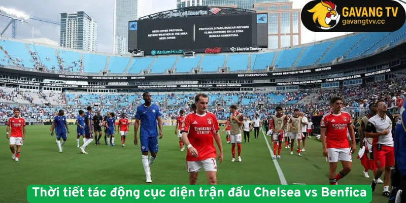 Thời tiết tác động cục diện trận đấu Chelsea vs Benfica