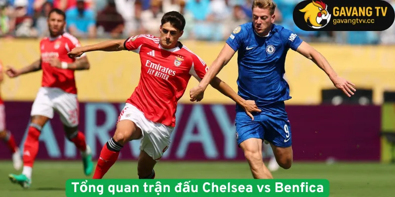 Tổng quan trận đấu Chelsea vs Benfica